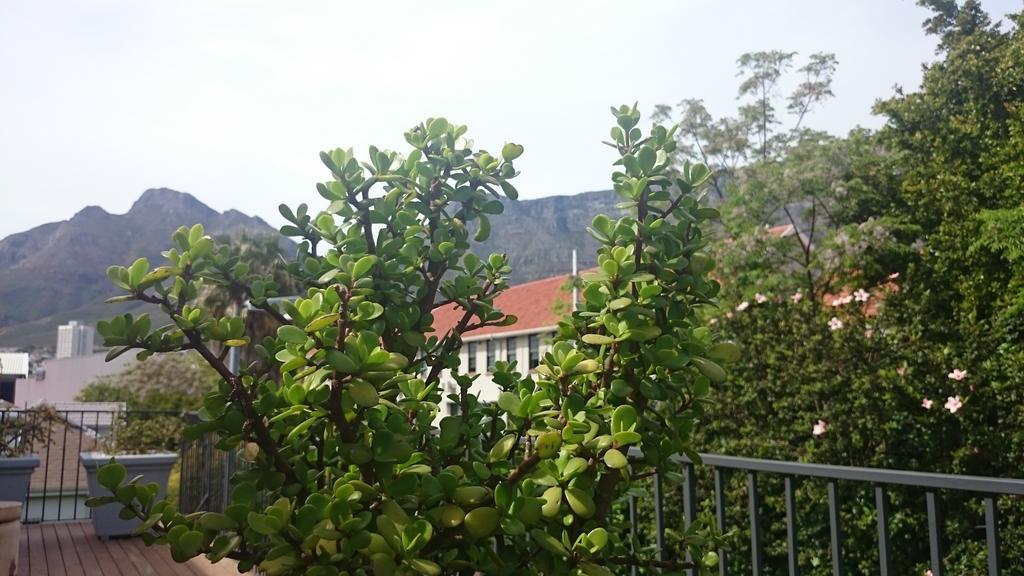The Parkhouse Hotel Cape Town Bilik gambar